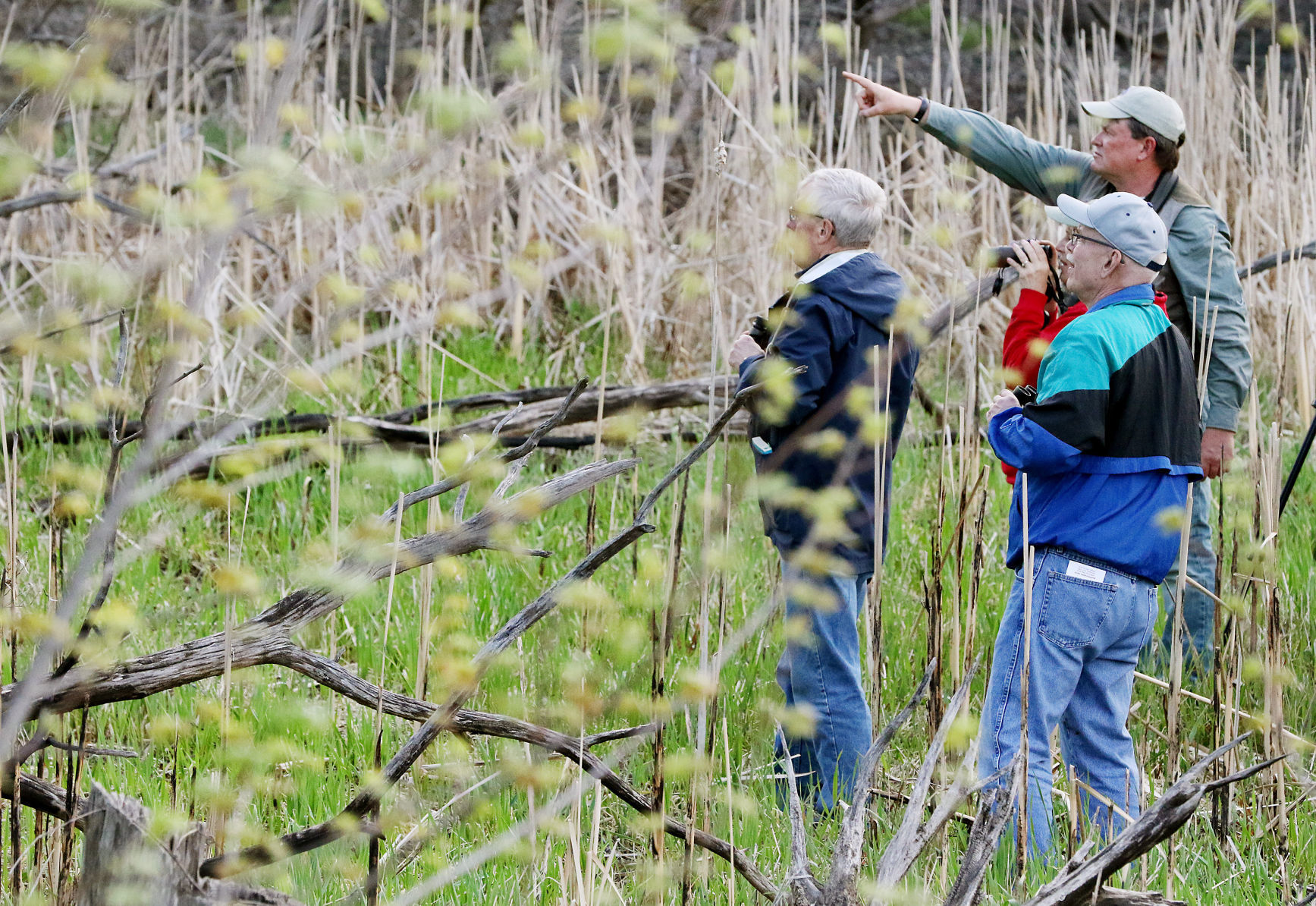 Beginner birding